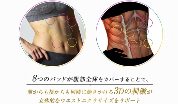 3D Shaperの筋肉に対するアプローチ方法を紹介するイメージ画像